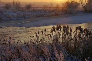 Podróże dla entuzjastów fotografii: Uchwyt chwile i zachwycaj się pięknem świata
