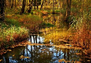 Najlepsze miejsca na trekking w górach: Wyprawy w otchłań natury