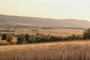 Jędrzejów czeka na turystów